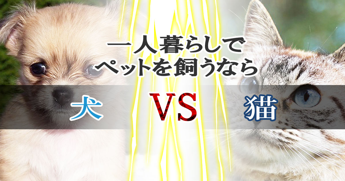 一人暮らしでペットを飼うなら、犬と猫のどちらを飼うべき？